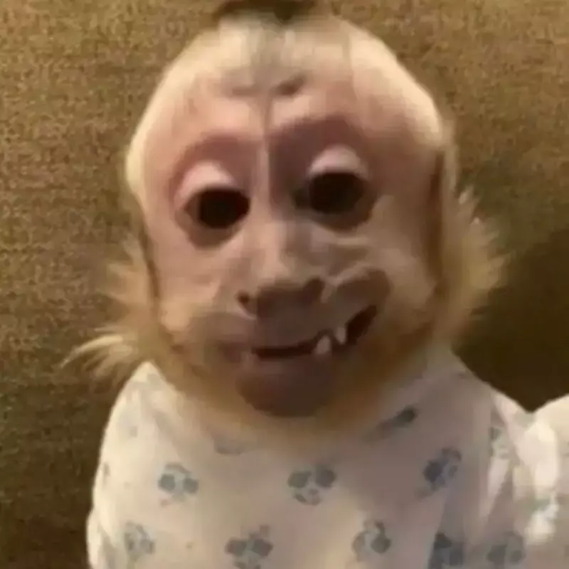 Dom Casmurro - Capa do livro de Machado de Assis